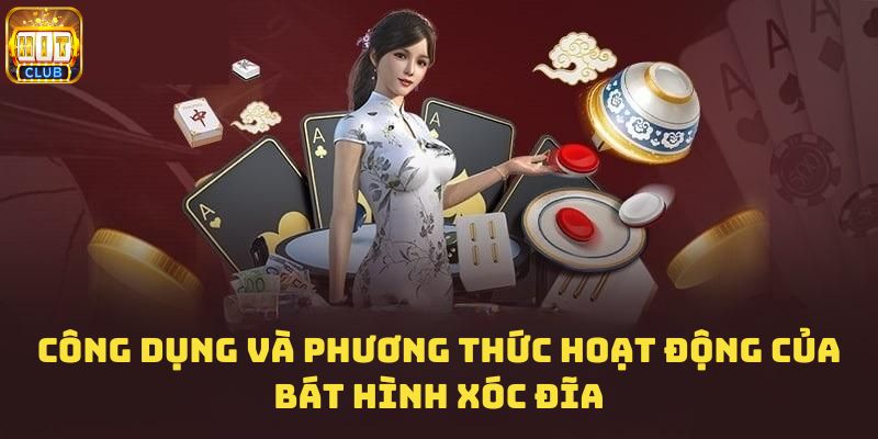 Công dụng và phương thức hoạt động của bát hình xóc đĩa